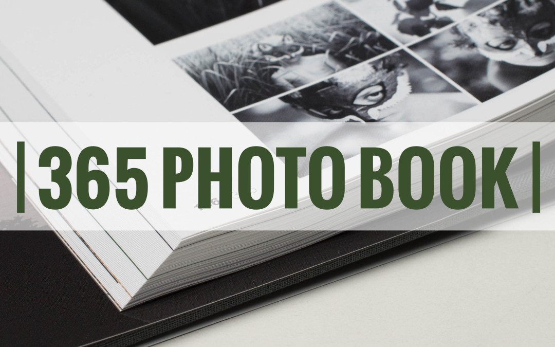 Project 365 Photo Book