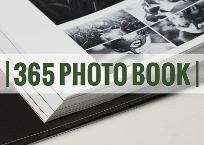 Project 365 Photo Book